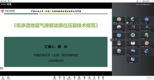 侯冰反馈-新闻稿-立项评审会《低渗透地层气液驱动原位压裂技术规范》1